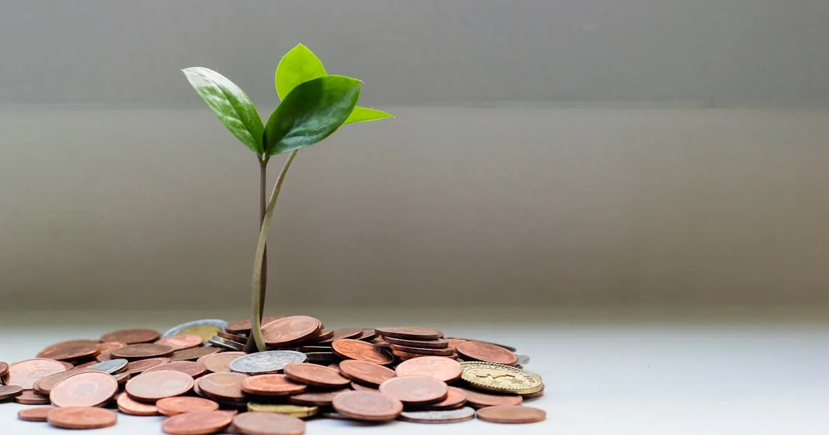 Coins and notes on a table, standing in for Shopify currency and market settings

---

# content